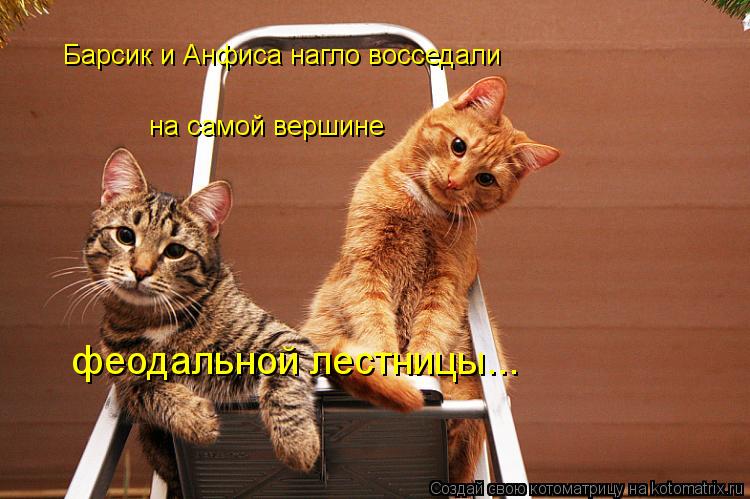 Барсик и Анфиса нагло восседали на самой вершине феодальной лестницы...... Котоматрица: Барсик и Анфиса нагло восседали на самой вершине феодальной лестницы...