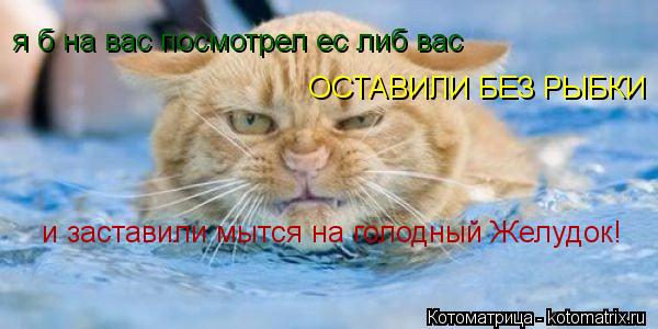 я б на вас посмотрел ес либ вас ОСТАВИЛИ БЕЗ РЫБКИ и заставили мытся на голодный Желудок!... Котоматрица: я б на вас посмотрел ес либ вас ОСТАВИЛИ БЕЗ РЫБКИ и заставили мытся на голодный Желудок!