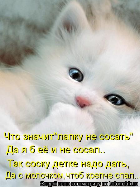 Что значит"лапку не сосать" Да я б её и не сосал.. Так соску детке надо дать, Да с молочком,чтоб креп... Котоматрица: Что значит"лапку не сосать" Да я б её и не сосал.. Так соску детке надо дать, Да с молочком,чтоб крепче спал...