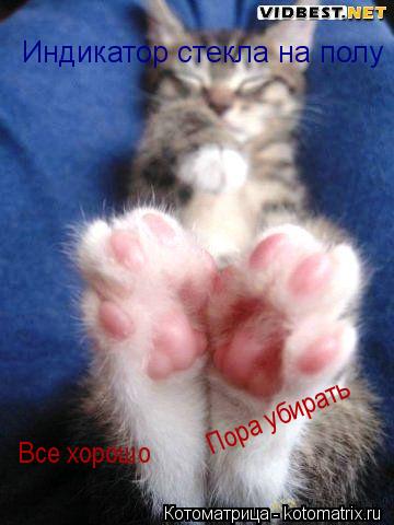 Индикатор стекла на полу Все хорошо Пора убирать... Котоматрица: Индикатор стекла на полу Все хорошо Пора убирать