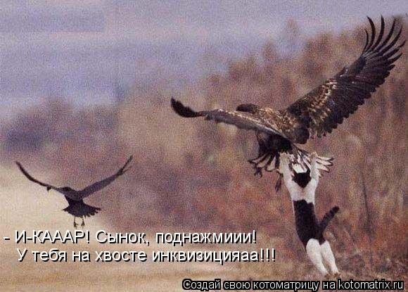 - И-КАААР! Сынок, поднажмиии! У тебя на хвосте инквизицияаа!!!... Котоматрица: - И-КАААР! Сынок, поднажмиии! У тебя на хвосте инквизицияаа!!!
