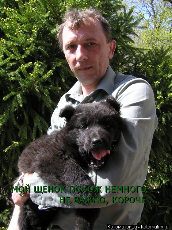 МОЙ ЩЕНОК ПОХОЖ НЕМНОГО ... НЕ ВАЖНО, КОРОЧЕ ...... Котоматрица: МОЙ ЩЕНОК ПОХОЖ НЕМНОГО ... НЕ ВАЖНО, КОРОЧЕ ...
