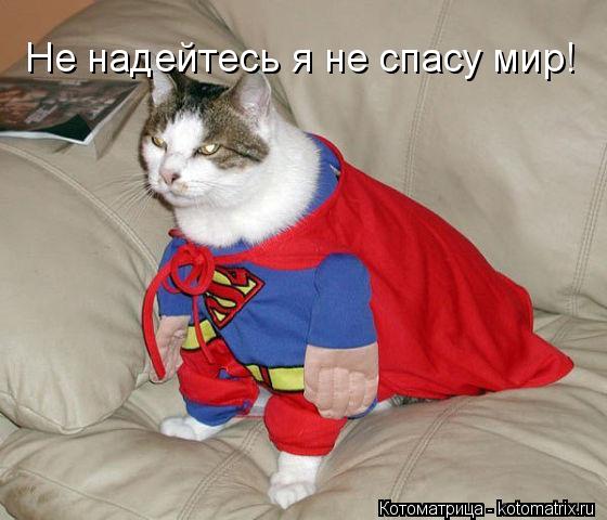 Не надейтесь я не спасу мир!... Котоматрица: Не надейтесь я не спасу мир!