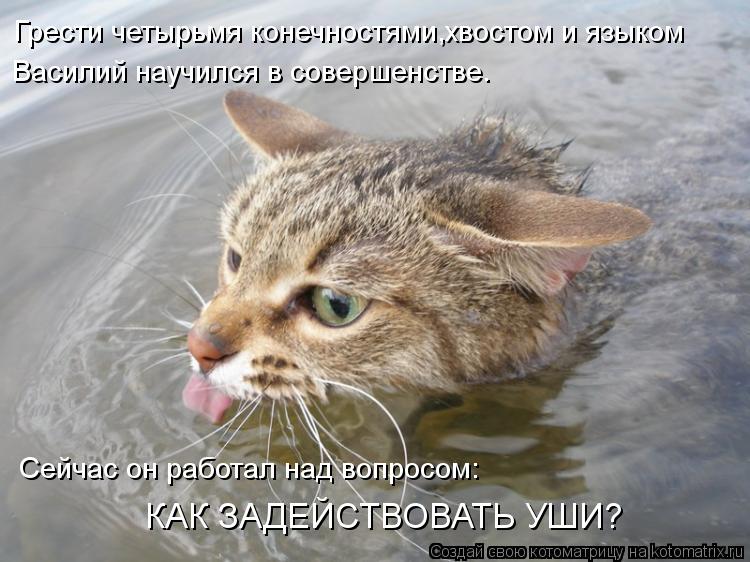 Грести четырьмя конечностями,хвостом и языком Василий научился в совершенстве. Сейчас он работал над ... Котоматрица: Грести четырьмя конечностями,хвостом и языком Василий научился в совершенстве. Сейчас он работал над вопросом: КАК ЗАДЕЙСТВОВАТЬ УШИ?