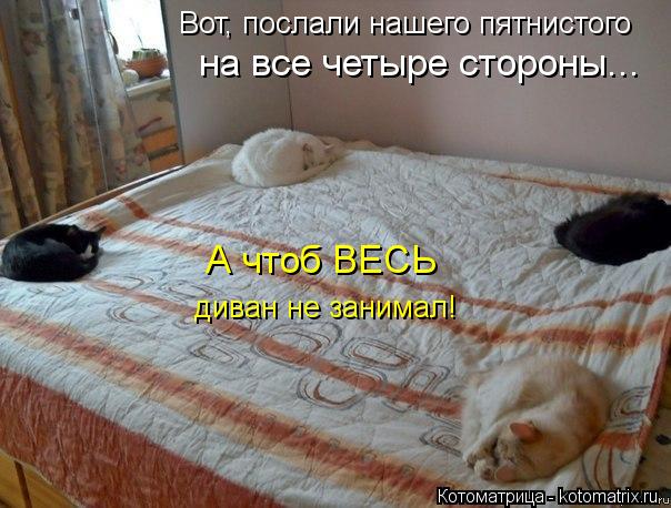 Вот, послали нашего пятнистого на все четыре стороны... А чтоб ВЕСЬ диван не занимал!... Котоматрица: Вот, послали нашего пятнистого на все четыре стороны... А чтоб ВЕСЬ диван не занимал!