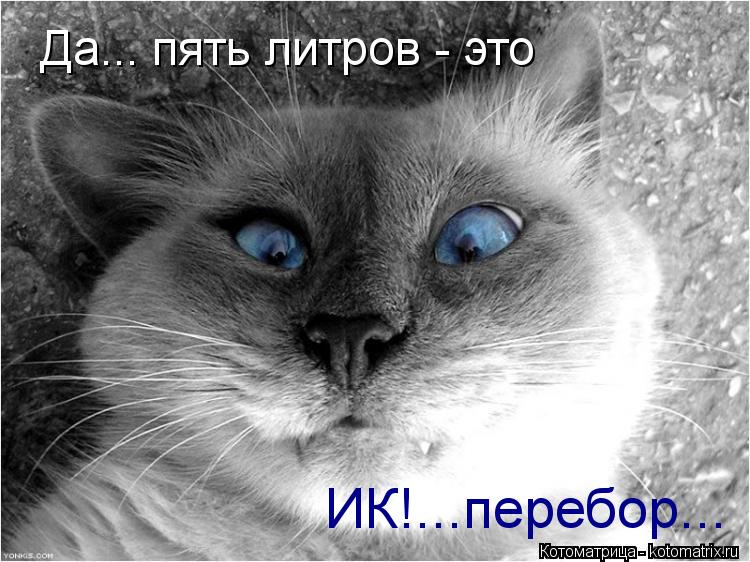 Да... пять литров - это ИК!...перебор...... Котоматрица: Да... пять литров - это ИК!...перебор...