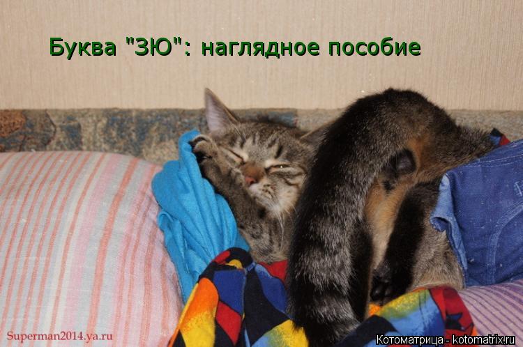 Буква "ЗЮ": наглядное пособие... Котоматрица: Буква "ЗЮ": наглядное пособие