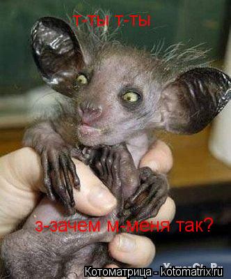т-ты т-ты з-зачем м-меня так?... Котоматрица: т-ты т-ты з-зачем м-меня так?