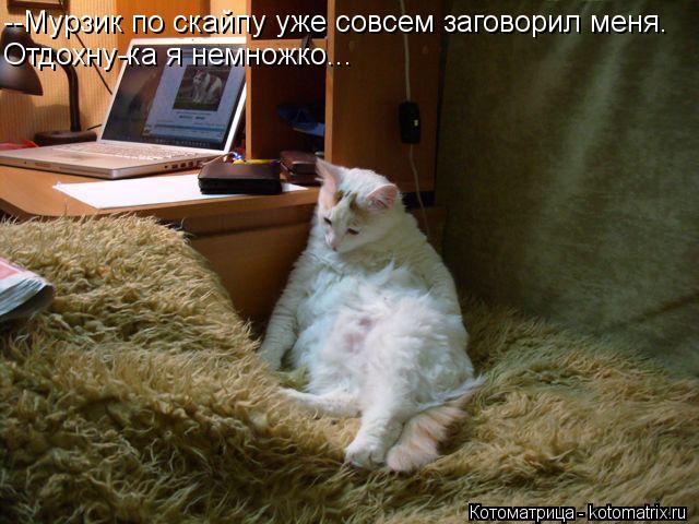 --Мурзик по скайпу уже совсем заговорил меня. Отдохну-ка я немножко...... Котоматрица: --Мурзик по скайпу уже совсем заговорил меня. Отдохну-ка я немножко...