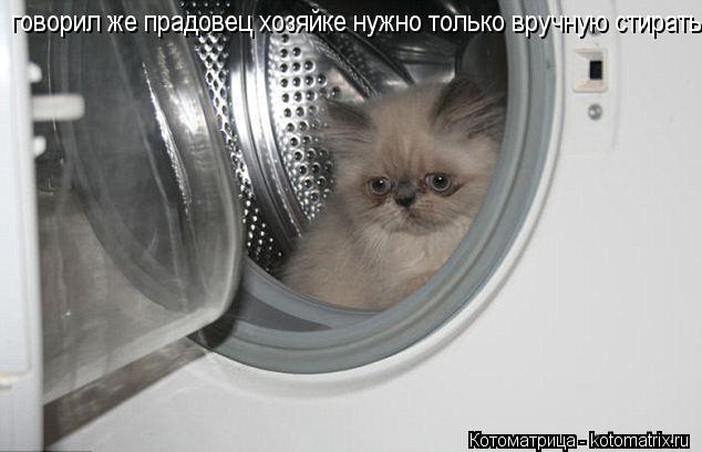 говорил же прадовец хозяйке нужно только вручную стирать... Котоматрица: говорил же прадовец хозяйке нужно только вручную стирать