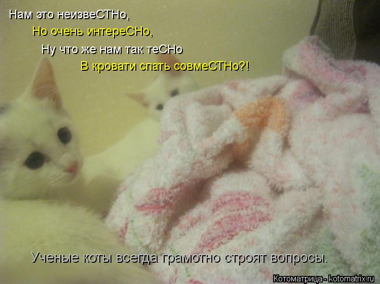 Нам это неизвеСТНо, Но очень интереСНо, Ну что же нам так теСНо В кровати спать совмеСТНо?! Ученые ко... Котоматрица: Нам это неизвеСТНо, Но очень интереСНо, Ну что же нам так теСНо В кровати спать совмеСТНо?! Ученые коты всегда грамотно строят вопросы.
