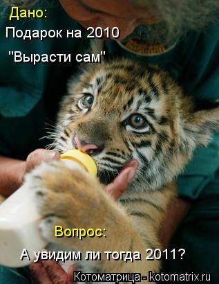 Дано: Подарок на 2010 "Вырасти сам" Вопрос: А увидим ли тогда 2011?... Котоматрица: Дано: Подарок на 2010 "Вырасти сам" Вопрос: А увидим ли тогда 2011?