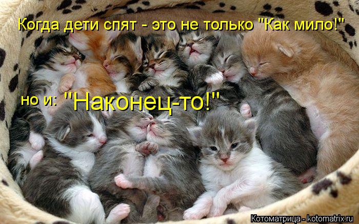 но и: "Наконец-то!" Когда дети спят - это не только "Как мило!"... Котоматрица: но и: "Наконец-то!" Когда дети спят - это не только "Как мило!"