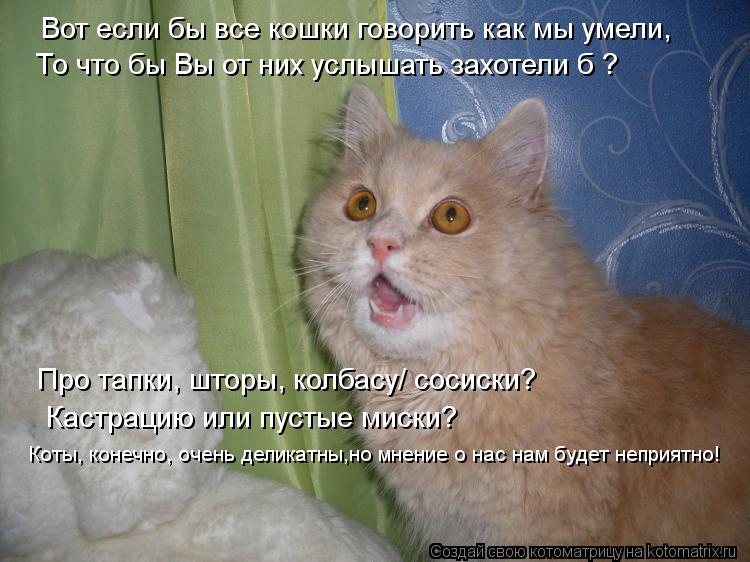 Вот если бы все кошки говорить как мы умели, То что бы Вы от них услышать захотели б ? Про тапки, што... Котоматрица: Вот если бы все кошки говорить как мы умели, То что бы Вы от них услышать захотели б ? Про тапки, шторы, колбасу/ сосиски? Кастрацию или пустые