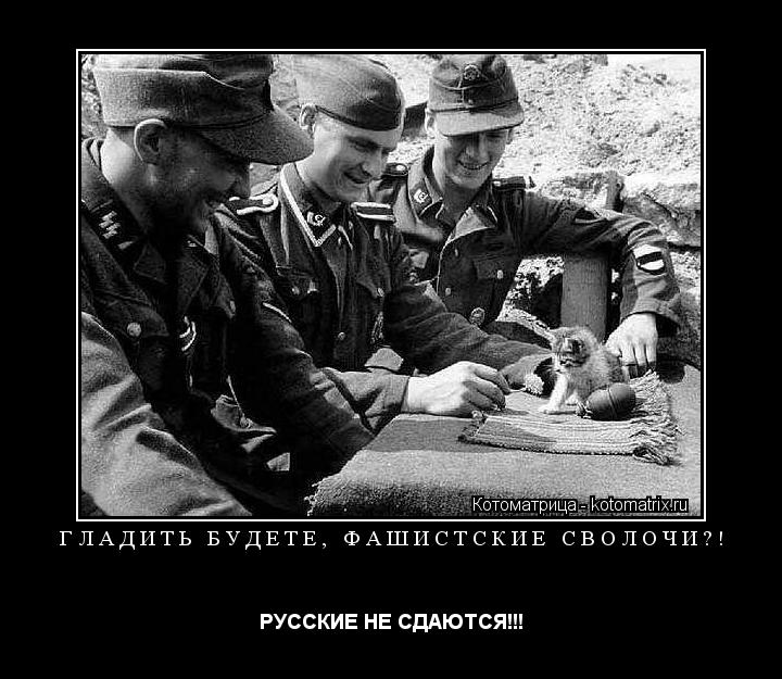 Гладить будете, фашистские сволочи?! РУССКИЕ НЕ СДАЮТСЯ!!!... Котоматрица: Гладить будете, фашистские сволочи?! РУССКИЕ НЕ СДАЮТСЯ!!!