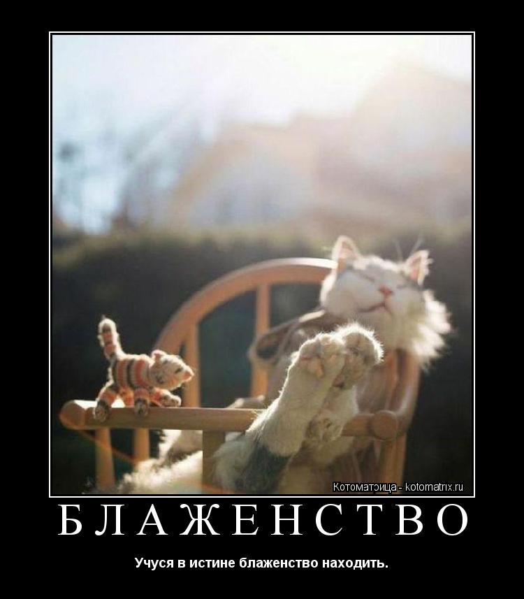 БЛАЖЕНСТВО «Учуся в истине блаженство находить.»... Котоматрица: БЛАЖЕНСТВО «Учуся в истине блаженство находить.»