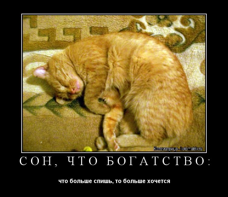 Сон, что богатство: что больше спишь, то больше хочется... Котоматрица: Сон, что богатство: что больше спишь, то больше хочется
