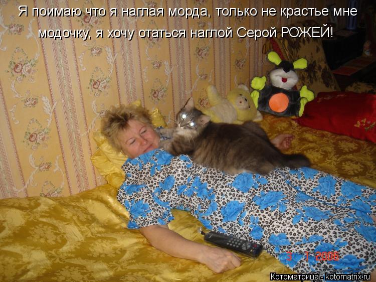 Я поимаю что я наглая морда, только не крастье мне модочку, я хочу отаться наглой Серой РОЖЕЙ!... Котоматрица: Я поимаю что я наглая морда, только не крастье мне модочку, я хочу отаться наглой Серой РОЖЕЙ!