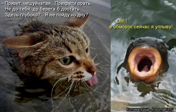 - Привет, чешуйчатая…. Прекрати орать… Не до тебя… до берега б достать… Здесь глубоко?.. Я не пойду к... Котоматрица: - Привет, чешуйчатая…. Прекрати орать… Не до тебя… до берега б достать… Здесь глубоко?.. Я не пойду ко дну? - Ой!!! в обморок сейчас я уплыву!