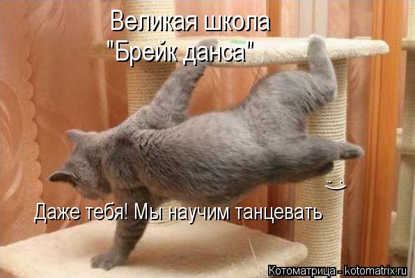 Великая школа "Брейк данса" Даже тебя! Мы научим танцевать ;)... Котоматрица: Великая школа "Брейк данса" Даже тебя! Мы научим танцевать ;)