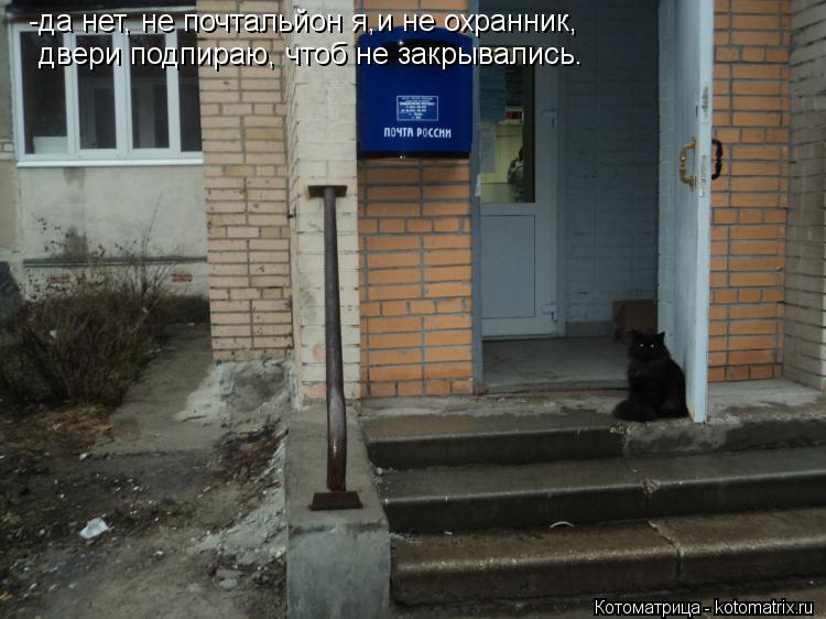 -да нет, не почтальйон я,и не охранник, двери подпираю, чтоб не закрывались.... Котоматрица: -да нет, не почтальйон я,и не охранник, двери подпираю, чтоб не закрывались.