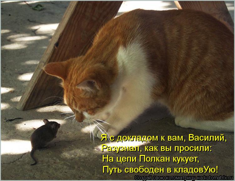 Я с докладом к вам, Василий, Разузнал, как вы просили: На цепи Полкан кукует, Путь свободен в кладовУ... Котоматрица: Я с докладом к вам, Василий, Разузнал, как вы просили: На цепи Полкан кукует, Путь свободен в кладовУю!