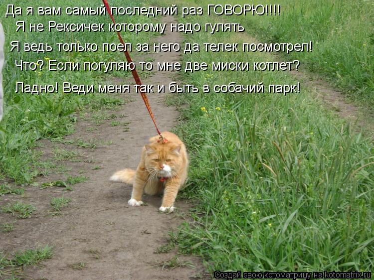 Да я вам самый последний раз ГОВОРЮ!!!! Я не Рексичек которому надо гулять Я ведь только поел за него... Котоматрица: Да я вам самый последний раз ГОВОРЮ!!!! Я не Рексичек которому надо гулять Я ведь только поел за него да телек посмотрел! Что? Если погуляю то