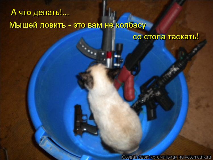 А что делать!... Мышей ловить - это вам не колбасу со стола таскать!... Котоматрица: А что делать!... Мышей ловить - это вам не колбасу со стола таскать!