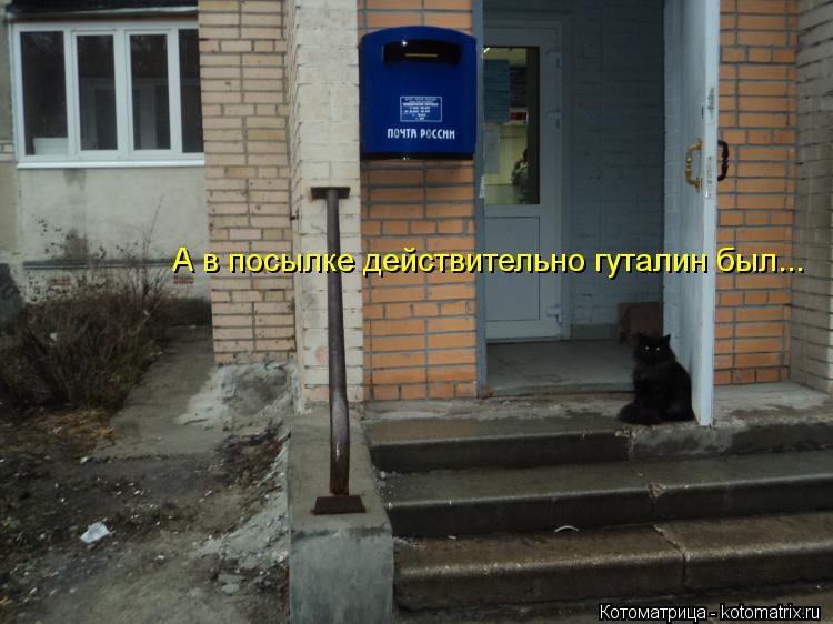 А в посылке действительно гуталин был...... Котоматрица: А в посылке действительно гуталин был...