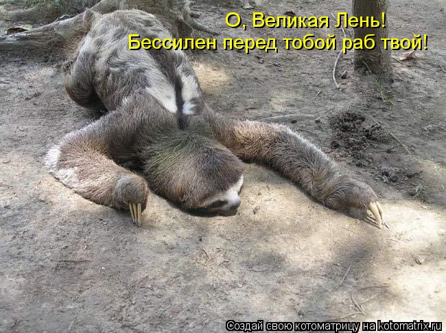 О, Великая Лень! Бессилен перед тобой раб твой!... Котоматрица: О, Великая Лень! Бессилен перед тобой раб твой!