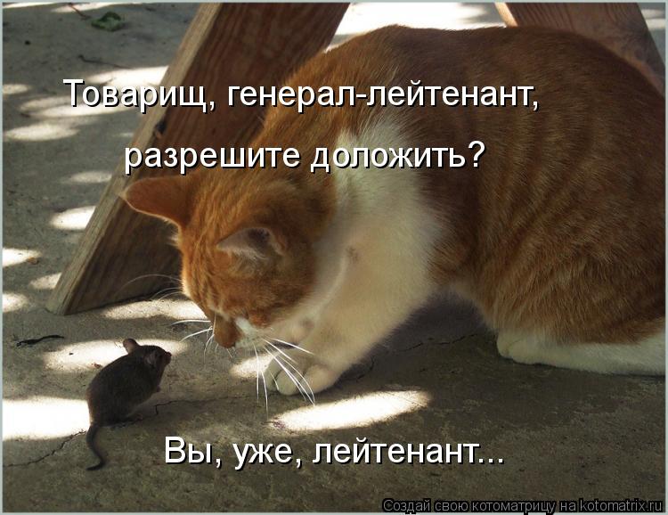 http://kotomatrix.ru/images/lolz/2012/04/22/1169782.jpg