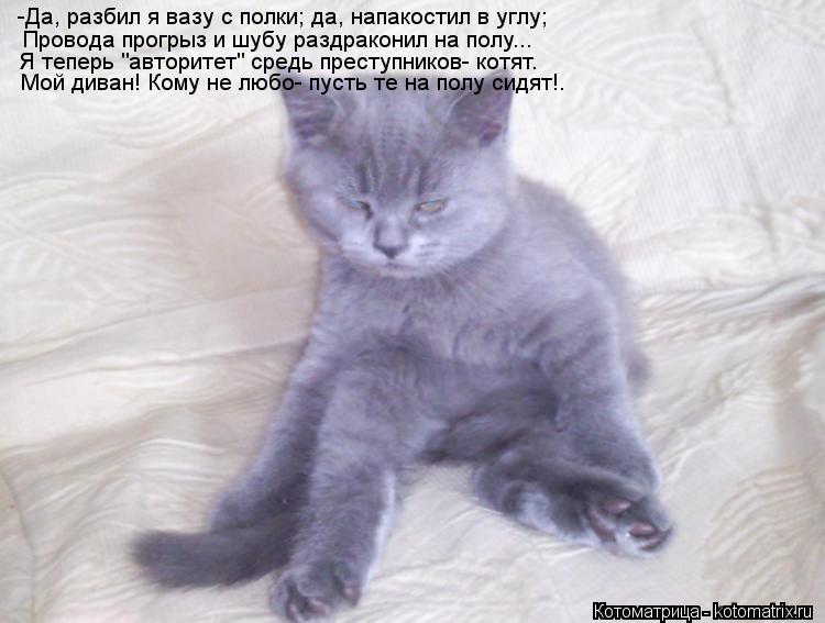 -Да, разбил я вазу с полки; да, напакостил в углу; Провода прогрыз и шубу раздраконил на полу... Я те... Котоматрица: -Да, разбил я вазу с полки; да, напакостил в углу; Провода прогрыз и шубу раздраконил на полу... Я теперь "авторитет" средь преступников- котят.