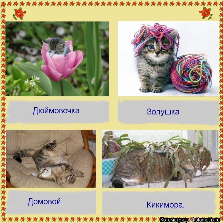 Кикимора. Дюймовочка Золушка Домовой... Котоматрица: Кикимора. Дюймовочка Золушка Домовой