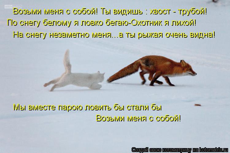 Возьми меня с собой! Ты видишь : хвост - трубой! По снегу белому я ловко бегаю-Охотник я лихой! На сн... Котоматрица: Возьми меня с собой! Ты видишь : хвост - трубой! По снегу белому я ловко бегаю-Охотник я лихой! На снегу незаметно меня...а ты рыжая очень видна!