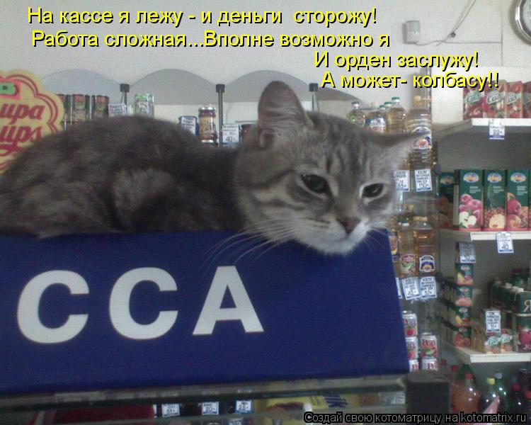 На кассе я лежу - и деньги сторожу! Работа сложная...Вполне возможно я И орден заслужу! А может- кол... Котоматрица: На кассе я лежу - и деньги сторожу! Работа сложная...Вполне возможно я И орден заслужу! А может- колбасу!!
