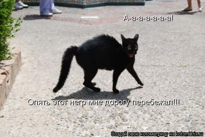 Котоматрица: А-а-а-а-а-а-а! Опять этот негр мне дорогу перебежал!!!