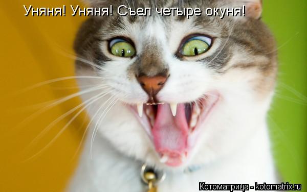 Котоматрица: Уняня! Уняня! Съел четыре окуня!