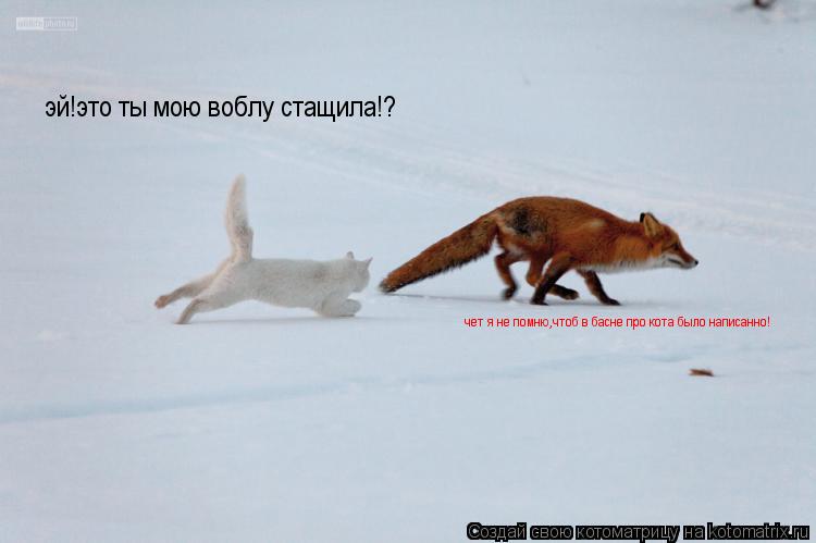 Котоматрица: эй!это ты мою воблу стащила!? чет я не помню,чтоб в басне про кота было написанно!