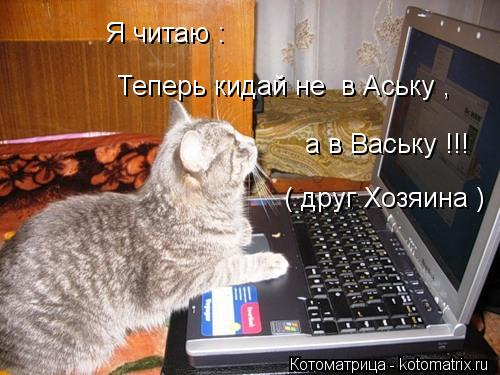 Котоматрица: Я читаю : Теперь кидай не  в Аську , а в Ваську !!! ( друг Хозяина )