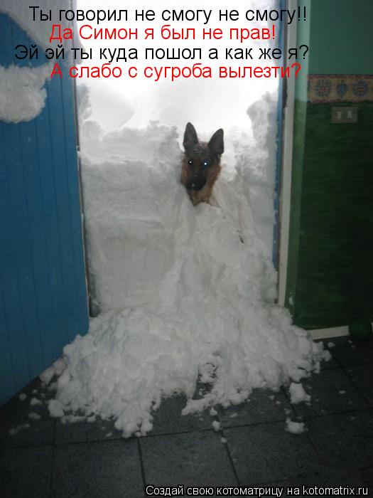 Котоматрица: Ты говорил не смогу не смогу!!  Да Симон я был не прав! Эй эй ты куда пошол а как же я? А слабо с сугроба вылезти?