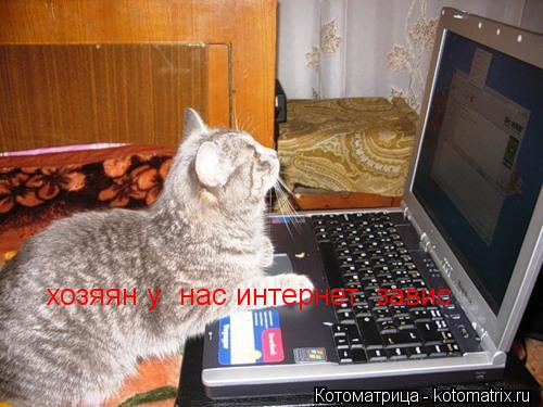 Котоматрица: хозяян у  нас интернет  завис