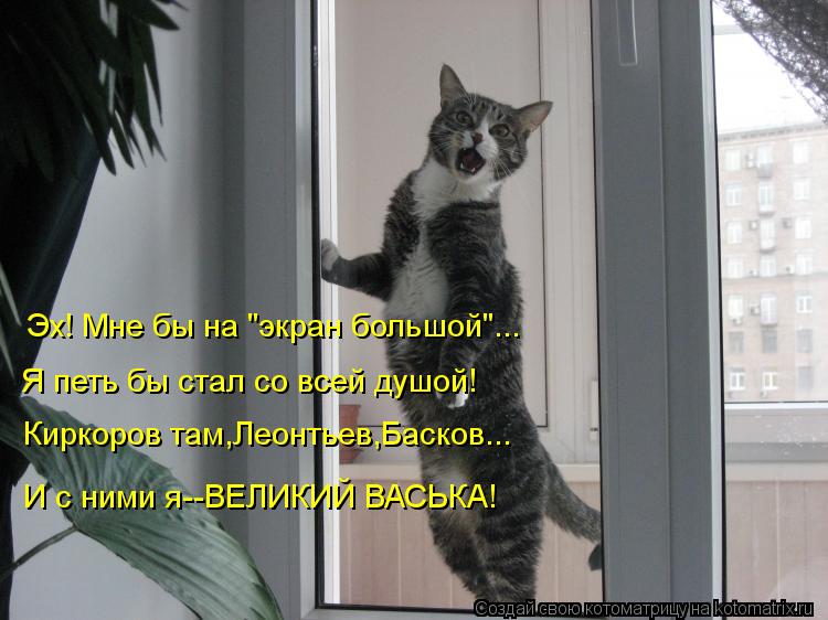 Эх! Мне бы на "экран большой"... Я петь бы стал со всей душой! Киркоров там,Леонтьев,Басков... И с ни... Котоматрица: Эх! Мне бы на "экран большой"... Я петь бы стал со всей душой! Киркоров там,Леонтьев,Басков... И с ними я--ВЕЛИКИЙ ВАСЬКА!