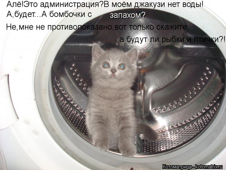 Котоматрица: Алё!Это администрация?В моём джакузи нет воды! А,будет...А бомбочки с  запахом? Не,мне не противопоказано,вот только скажите, а будут ли рыбки 