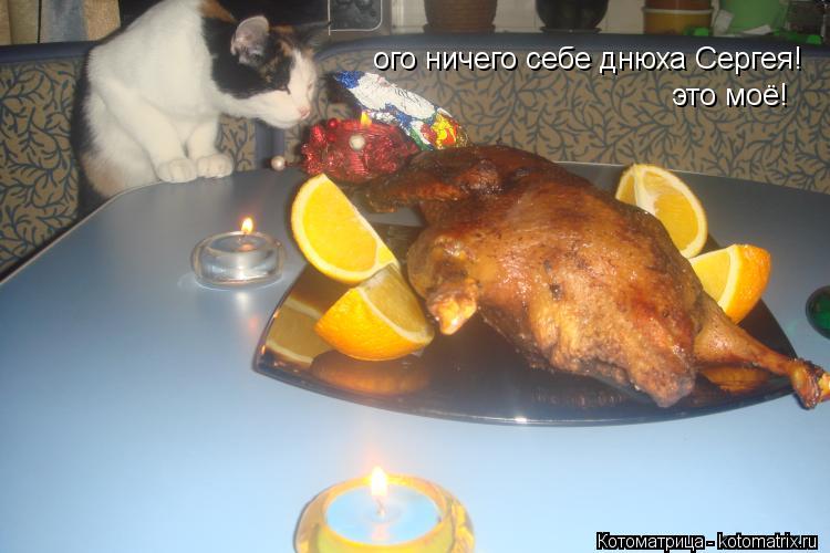 Котоматрица: ого ничего себе днюха Сергея! это моё!