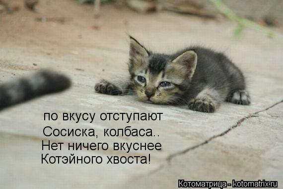 Котоматрица: по вкусу отступают Сосиска, колбаса.. Нет ничего вкуснее Котэйного хвоста!