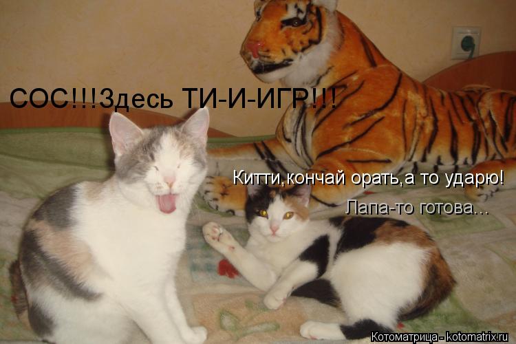 Котоматрица: СОС!!!Здесь ТИ-И-ИГР!!! Китти,кончай орать,а то ударю! Лапа-то готова...