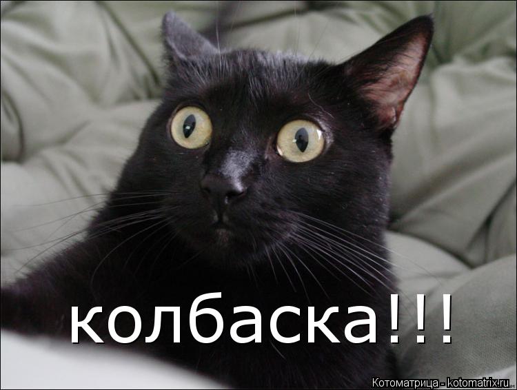 Котоматрица: колбаска!!!