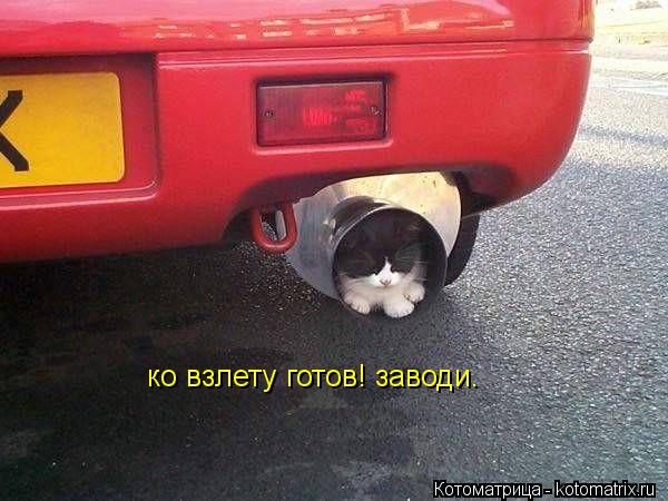 Котоматрица: ко взлету готов! заводи.
