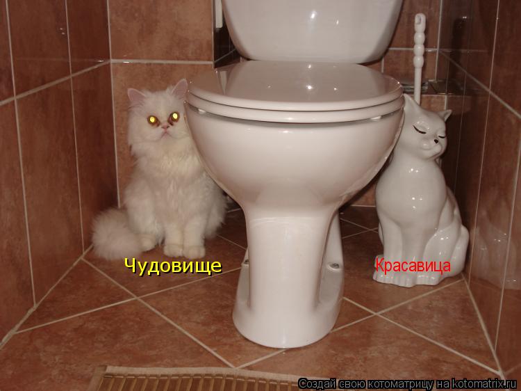 Котоматрица: Красавица Чудовище