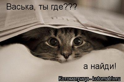 Котоматрица: Васька, ты где??? а найди!